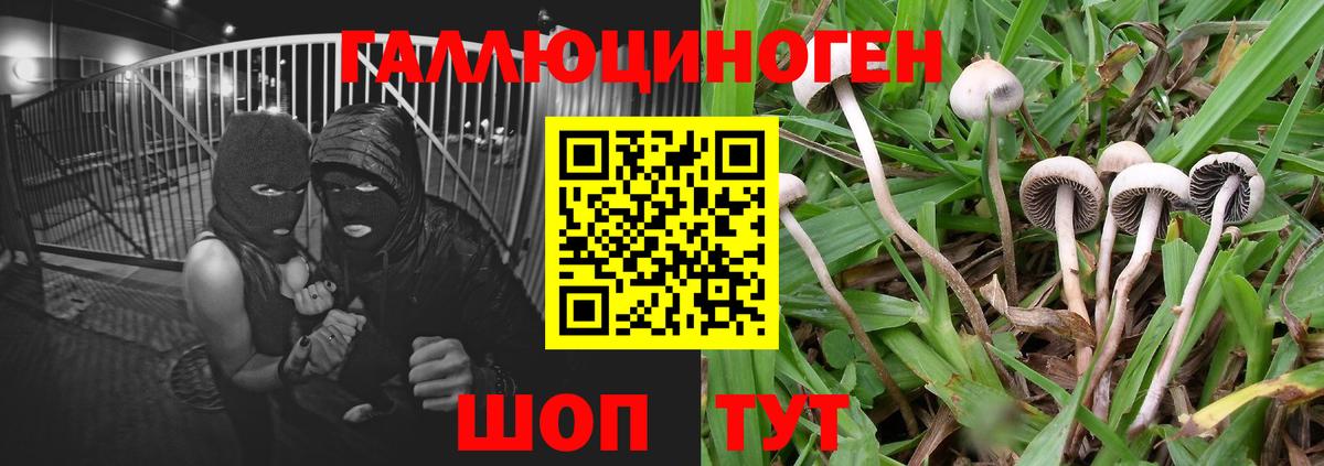 Псилоцибиновые грибы мицелий  Вход с VPN  купить наркотик  Волжский 